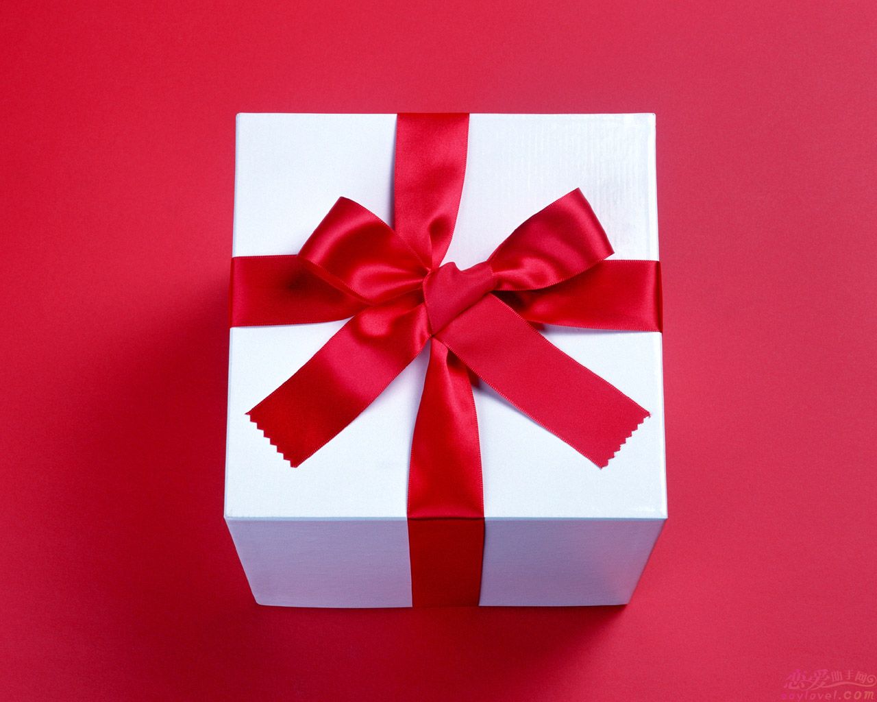 SURPRISE GIFT