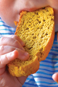 Baby Biscotti